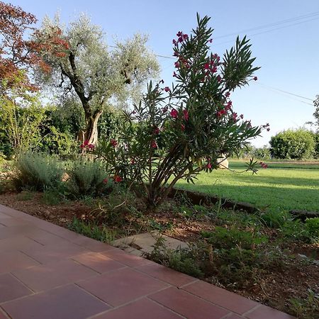 Villa Caterina Country Apartment Bedizzole Ngoại thất bức ảnh