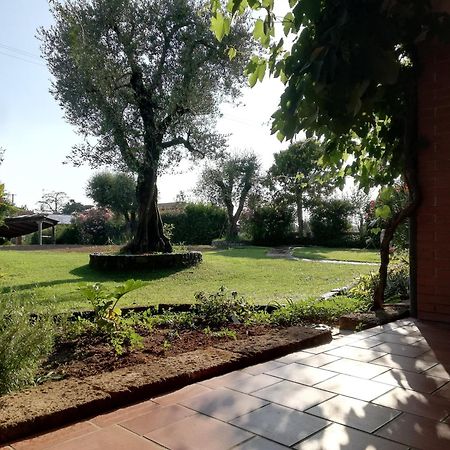 Villa Caterina Country Apartment Bedizzole Ngoại thất bức ảnh